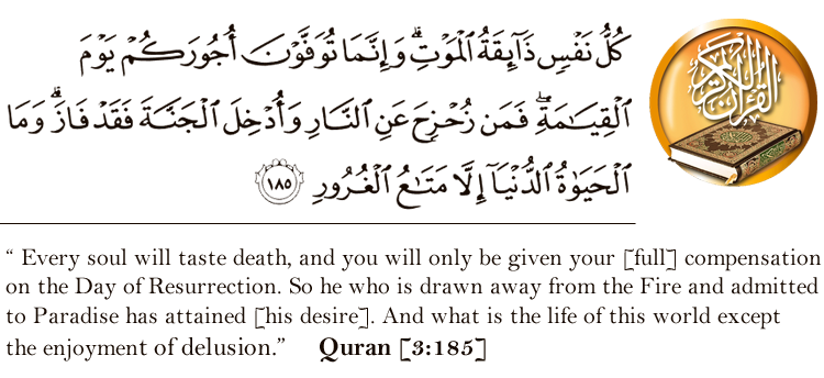 Quran ayah home page dark
