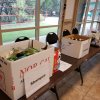 Events